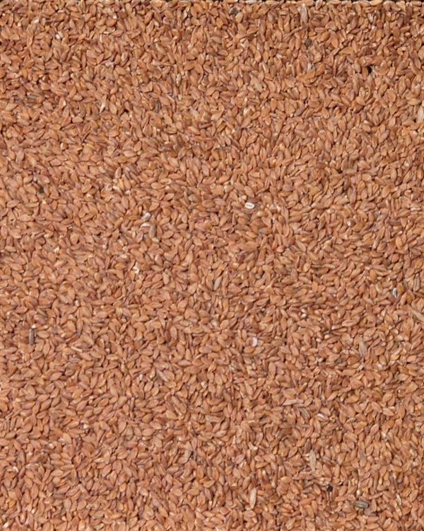 Whole Grain Einkorn Berries from Borderview Family Farm, Vermont