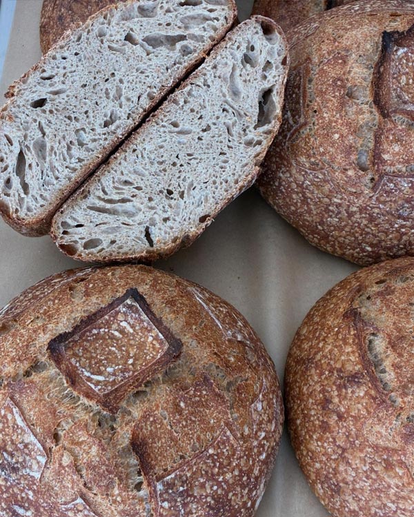 Organic Einkorn Sourdough from Borderview Family Farm